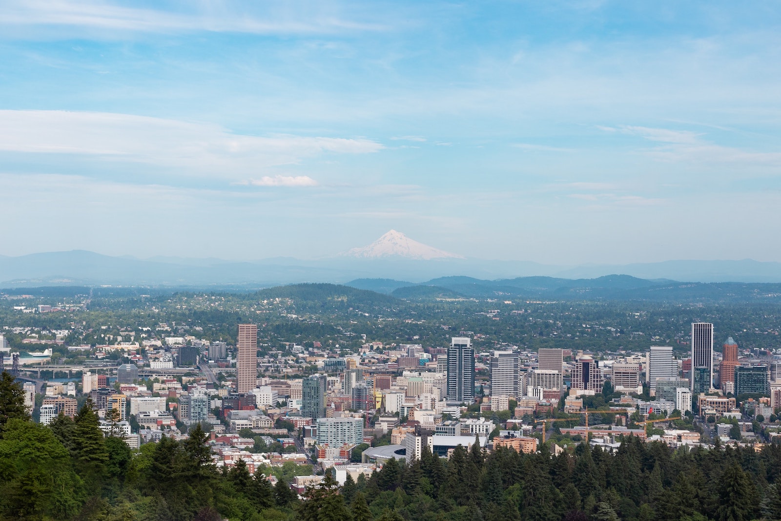trang-nguyen-w1X8gY5dcH4-unsplash trang-nguyen-w1X8gY5dcH4-unsplash